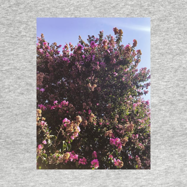 Purple floral tree in San Fernando Valley by offdutyplaces